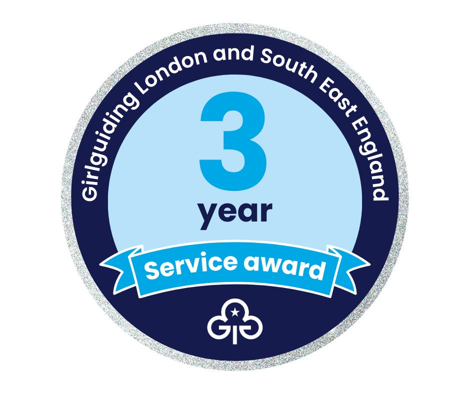 3 Year Service Award