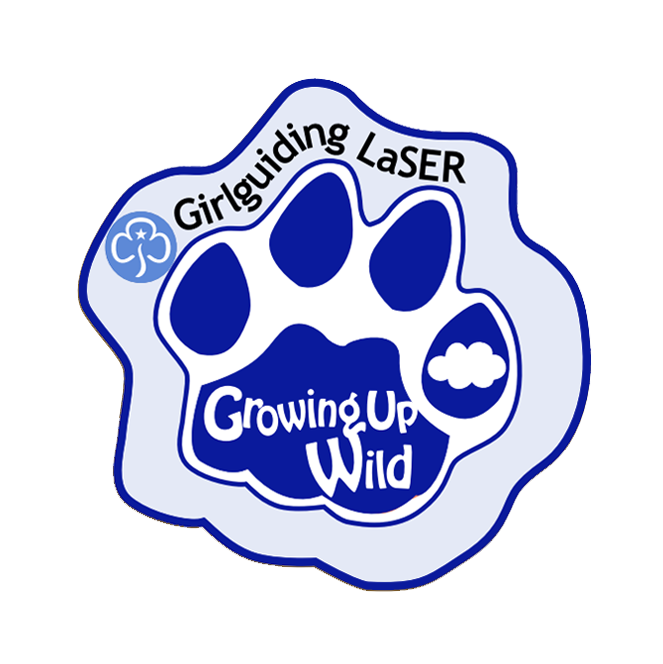 Growing Up Wild Badge -  Under the Sky